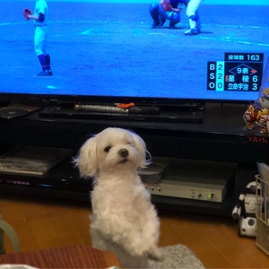お盆期間