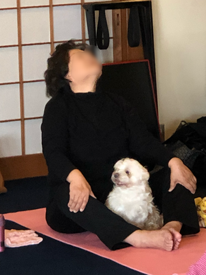 シニアヨガでドッグヨガ、そして明日は音楽ライブありです。