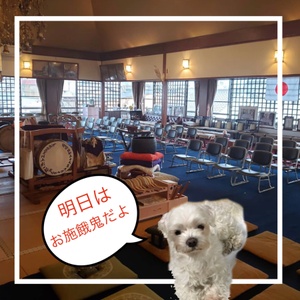 明日はお彼岸施餓鬼法要です。