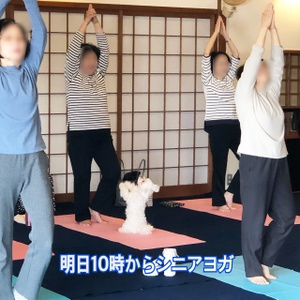 明日はシニアヨガ、その前にラジオ出ます。