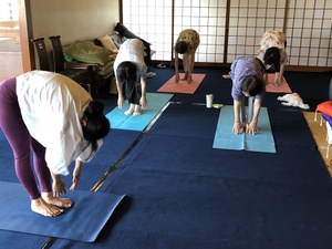 シニアヨガ来週はお休みです。