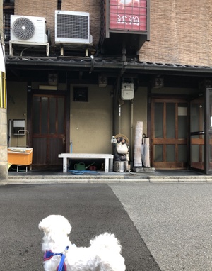 明日はお休みシニアヨガ