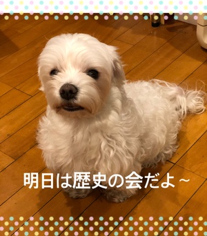 テーマ「将軍の晒し首」です。