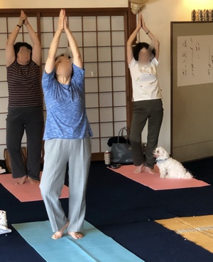シニアヨガ（太陽礼拝に挑戦！）