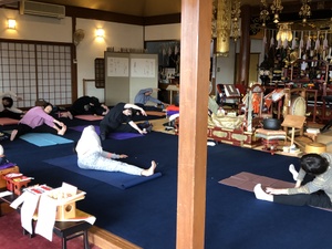 シニアヨガ