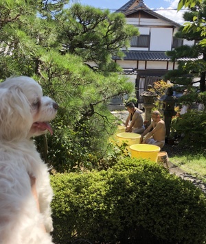 納骨、葬儀、施餓鬼法要、水行、ご祈祷、ウーバーイーツ