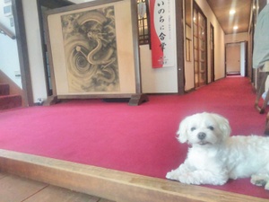歴史の会次回は１０月６日です。