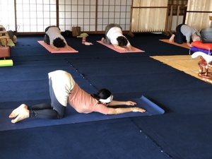 太陽礼拝