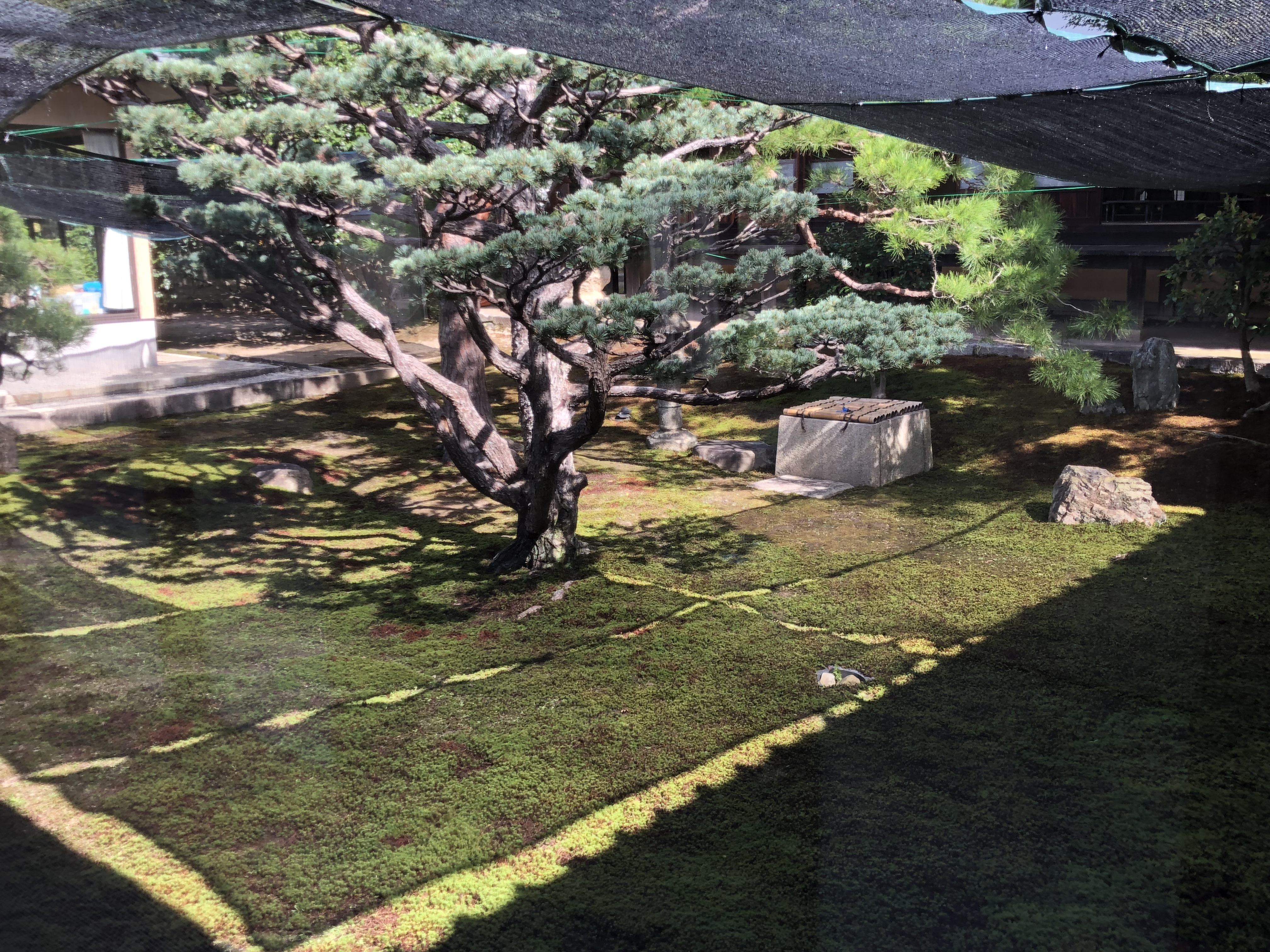 修養道場開場式　in　妙覚寺