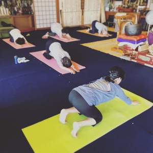 本日シニアヨガ中止