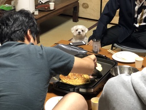 ゴン太日記（お好み焼きパーティー）