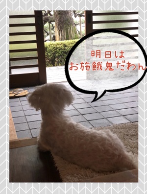 明日はお施餓鬼法要。二条駅からは絶対に歩かないでください！！！