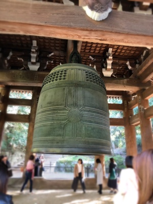 知恩院拝観