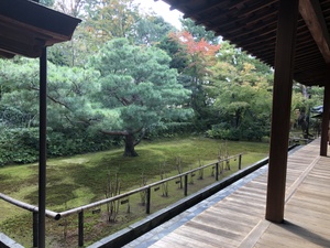 明日はシニアヨガです。
