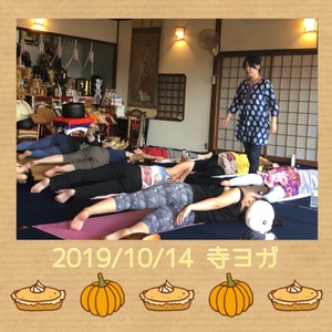 明日は寺ヨガです。