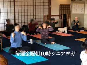 明日はシニアヨガです。