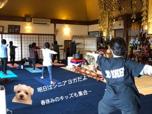 明日はシニアヨガです。