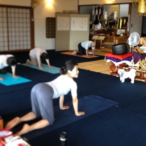 明日は久しぶりのシニアヨガです。