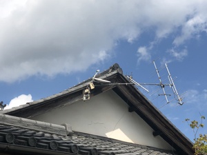 台風被害のご報告その２（動画あり）