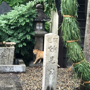 夏越しの祓　ほうろく灸　（善行院）
