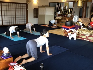 明日はシニアヨガです。