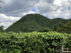 光悦寺さんへ